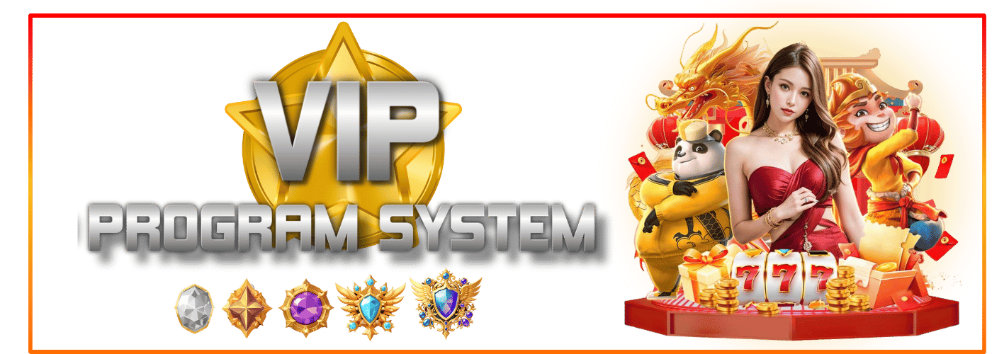 VIP Program Model Image